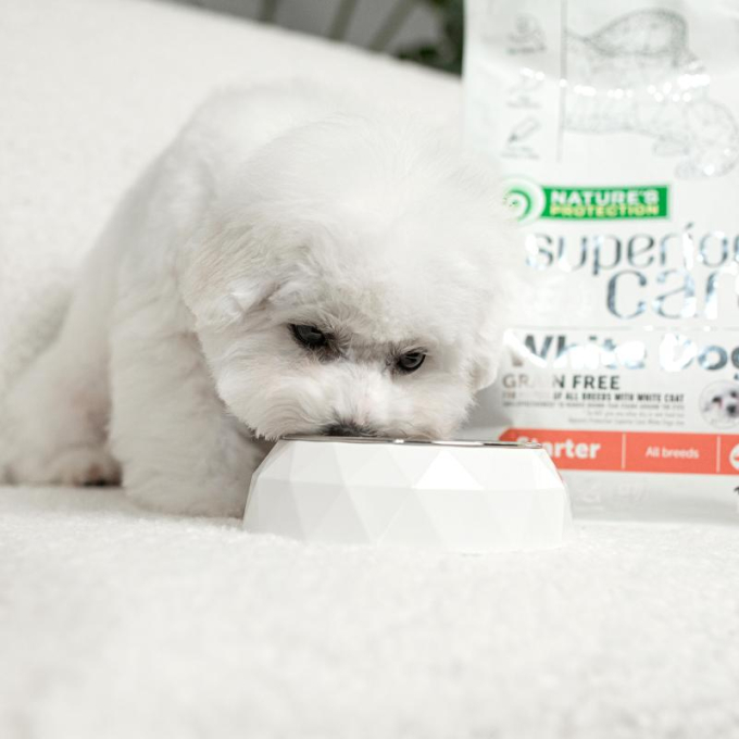 Should puppies eat grain free food best sale